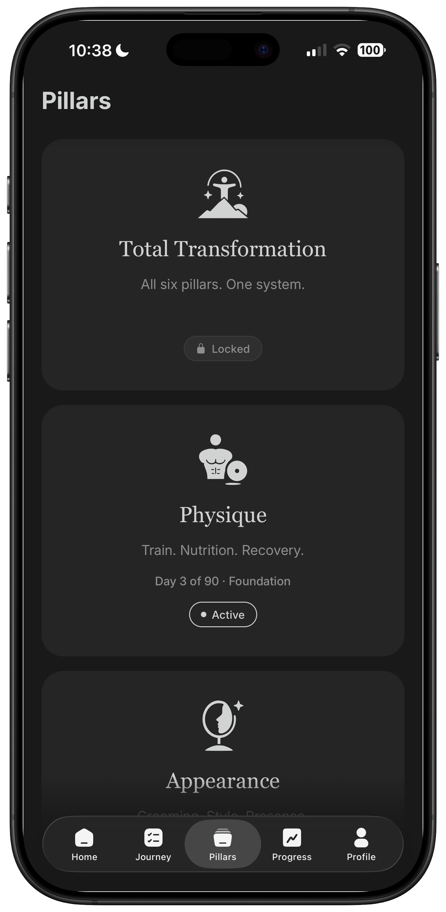 Praxis pillars screen